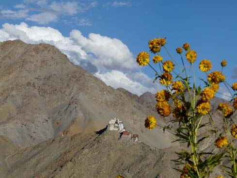 090829_Leh_und_Umgebung (92)