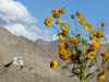 090829_Leh_und_Umgebung (93)