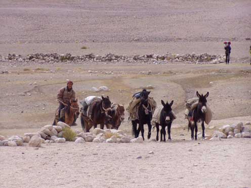 Ladakh  1-2004 318