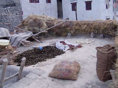 Ladakh  1-2004 351