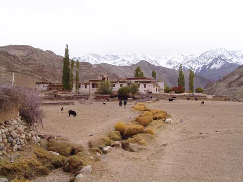 Ladakh  1-2004 261