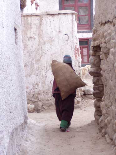 Ladakh  1-2004 289