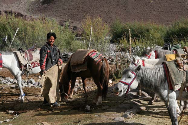 Nubra Tal, Ladakh