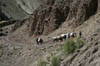 Ladakh_0485_DxO