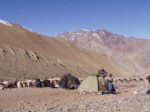 Trekking Ladakh