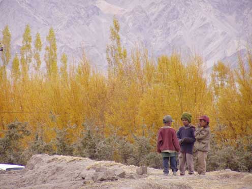 Ladakh  2-2004 348