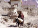 Ladakh  2-2004 246