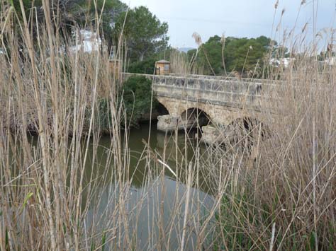 100304_Mallorca_Nord_480