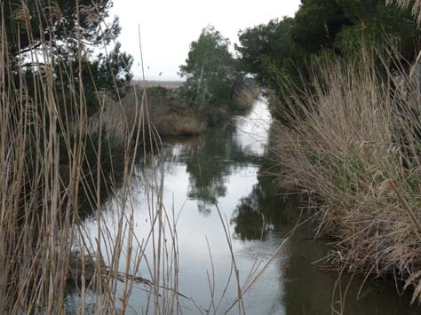 100304_Mallorca_Nord_481