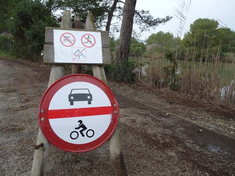 100304_Mallorca_Nord_483