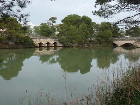 100304_Mallorca_Nord_485