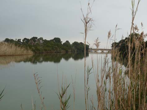 100304_Mallorca_Nord_487