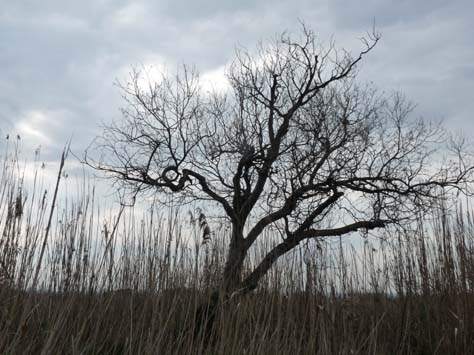 100304_Mallorca_Nord_490