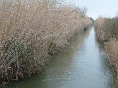 100304_Mallorca_Nord_491