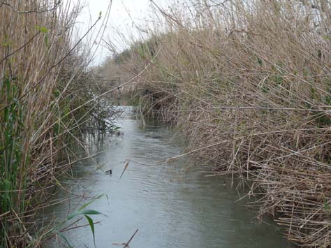 100304_Mallorca_Nord_493