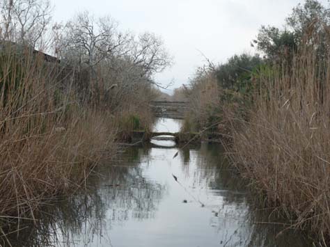 100304_Mallorca_Nord_494