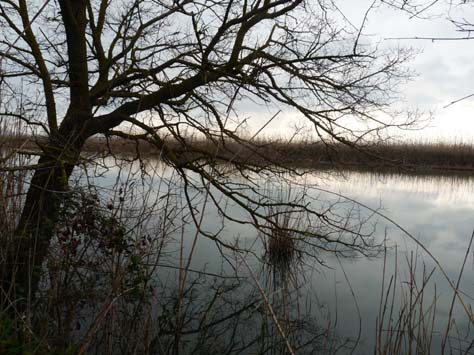 100304_Mallorca_Nord_509