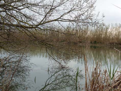 100304_Mallorca_Nord_512