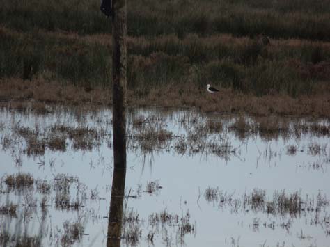 100304_Mallorca_Nord_514