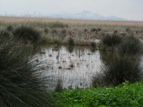 100304_Mallorca_Nord_517