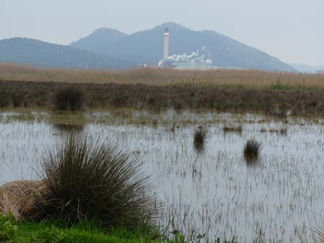 100304_Mallorca_Nord_518