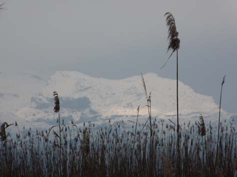 100304_Mallorca_Nord_524