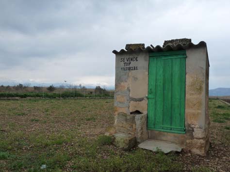 100304_Mallorca_Nord_527