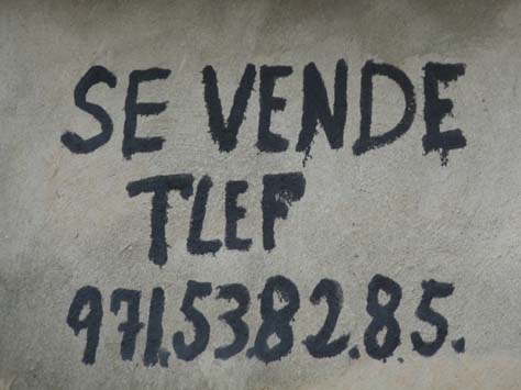 100304_Mallorca_Nord_528