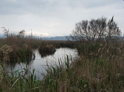 100304_Mallorca_Nord_529