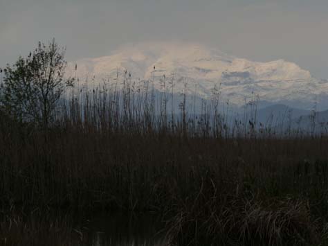 100304_Mallorca_Nord_531