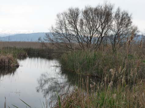 100304_Mallorca_Nord_532