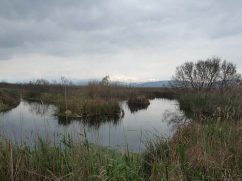 100304_Mallorca_Nord_533