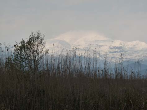 100304_Mallorca_Nord_534