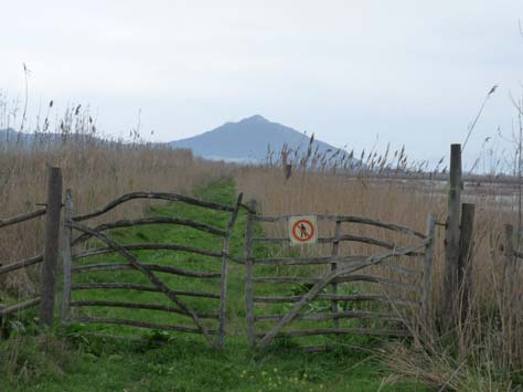 100304_Mallorca_Nord_538