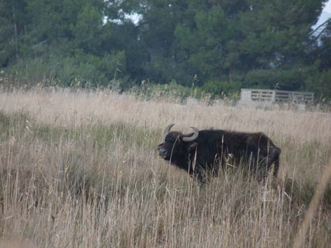 100304_Mallorca_Nord_540