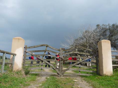 100304_Mallorca_Nord_541