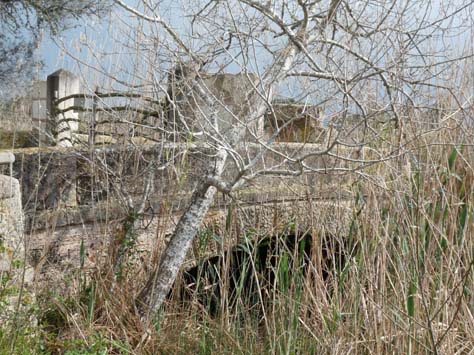 100304_Mallorca_Nord_542