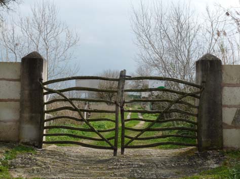 100304_Mallorca_Nord_543