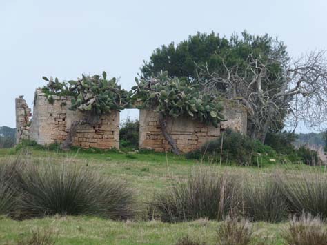 100304_Mallorca_Nord_550