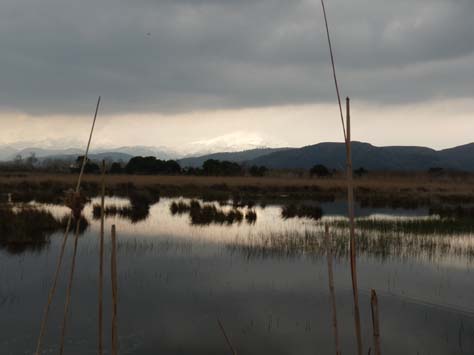 100304_Mallorca_Nord_552