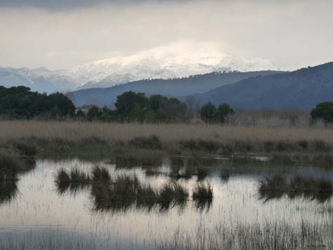 100304_Mallorca_Nord_553