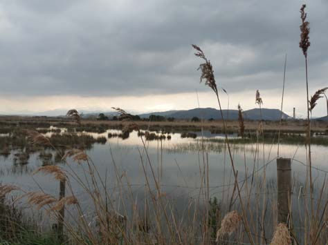 100304_Mallorca_Nord_555