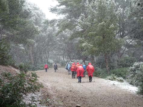 100304_Mallorca_Nord_355