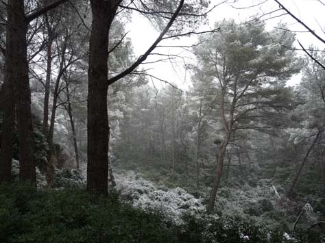 100304_Mallorca_Nord_360