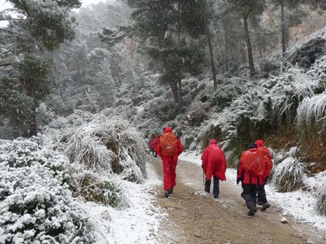 100304_Mallorca_Nord_361