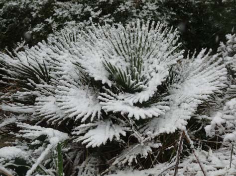 100304_Mallorca_Nord_364