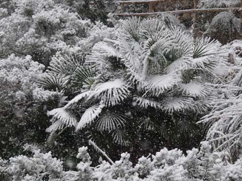 100304_Mallorca_Nord_366