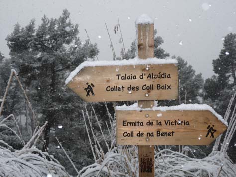 100304_Mallorca_Nord_370