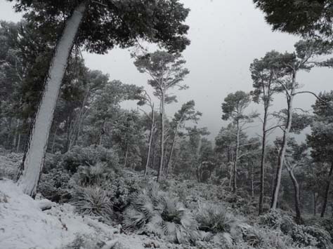 100304_Mallorca_Nord_371