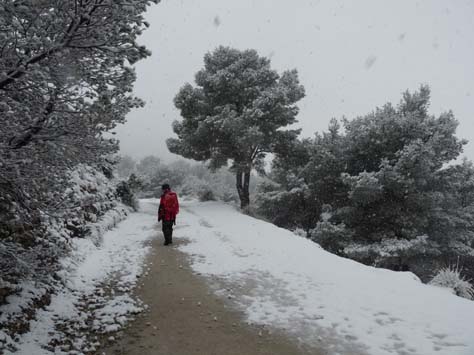 100304_Mallorca_Nord_375